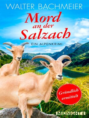 cover image of Mord an der Salzach